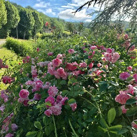 La Provencale *