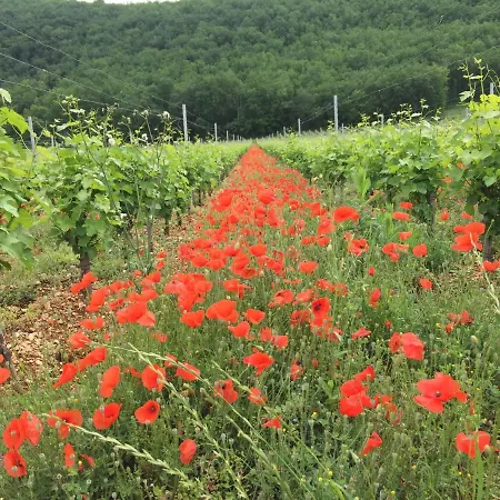 La Provencale B&B *